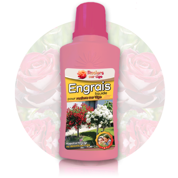 Engrais liquide pour rosier sur tige